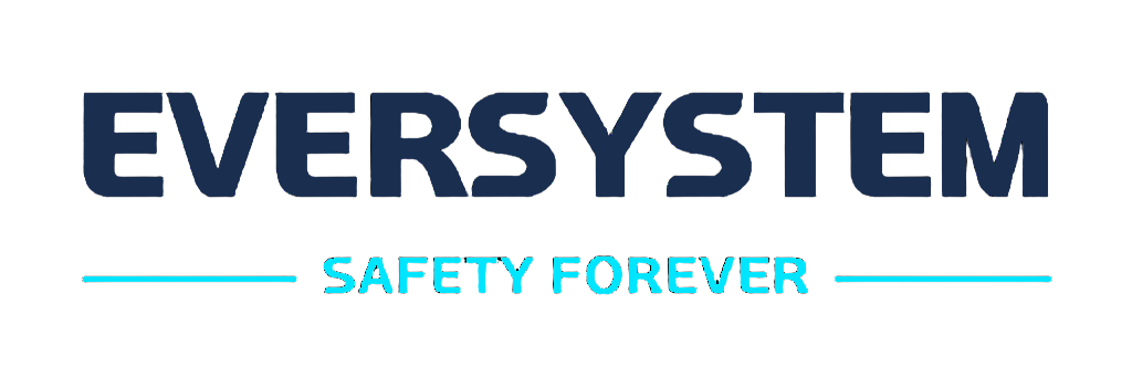 에버시스템(EVERSYSTEM) 로고